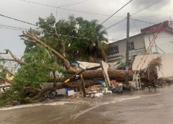 Huracán Enrique deja árboles caídos e inundaciones en Tepic