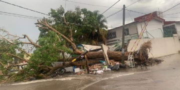 Huracán Enrique deja árboles caídos e inundaciones en Tepic