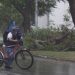Nora se intensificará a HURACÁN; todos ESTADOS que se verán afectados | Trayectoria EN VIVO