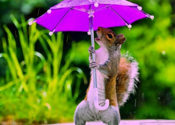 ¡Prepara el paraguas! Prevén fuertes lluvias y granizadas en CDMX y EDOMEX | 30 de agosto 2021