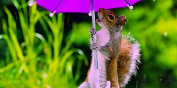 ¡Prepara el paraguas! Prevén fuertes lluvias y granizadas en CDMX y EDOMEX | 30 de agosto 2021