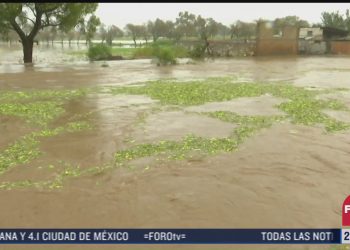Saldo blanco tras el paso del “Nora” en Colima