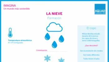 Se forma la Tormenta Tropical Nora rumbo a México; ve cuándo evolucionará a huracán y trayectoria: MAPA
