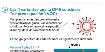 ¿A qué se dedicaban los narcos más poderosos de México antes de ser traficantes?