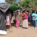 Indígenas de comunidad nahua, en Michoacán, protegen a tortuga golfina