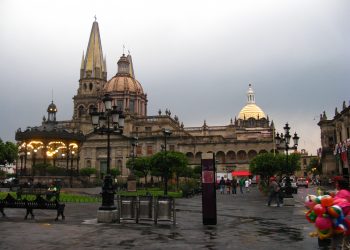 Jalisco: Después de terribles incendios, continúan las reforestaciones para el Bosque de la Primavera