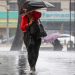 Se esperan lluvias muy fuertes en catorce estados del país, informa Servicio Meteorológico Nacional