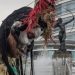 Alistan desfile muy festivo en CDMX para celebrar Día de Muertos