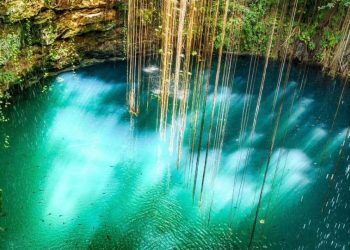 Cenotes Urbanos: Jóvenes luchan por la protección del medio ambiente en Playa del Carmen