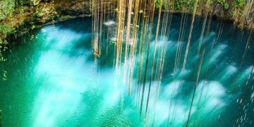 Cenotes Urbanos: Jóvenes luchan por la protección del medio ambiente en Playa del Carmen