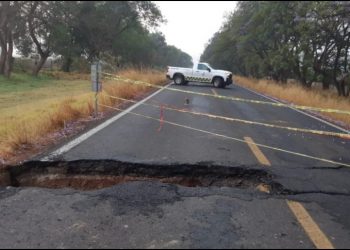 Cierran carretera libre México-Cuernavaca por caída de árbol