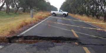 Cierran carretera libre México-Cuernavaca por caída de árbol