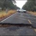 Cierran carretera libre México-Cuernavaca por caída de árbol