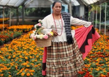 Puebla busca colocarse como líder en la venta de flores de cempasúchil