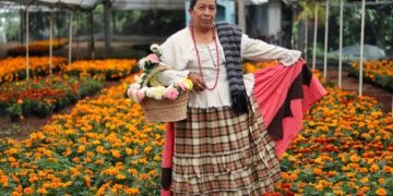 Puebla busca colocarse como líder en la venta de flores de cempasúchil