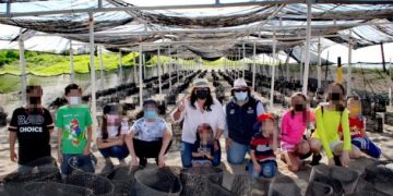 Reconoce SEDESU el apoyo de Fundación Coppel y CTTMX para la conservación de la tortuga marina en Sinaloa