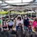 Reconoce SEDESU el apoyo de Fundación Coppel y CTTMX para la conservación de la tortuga marina en Sinaloa