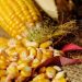 Sader busca que producción agrícola beneficie a campesinos