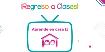 Aprende en Casa: los contenidos del 8 al 12 de noviembre: preescolar, primaria y secundaria