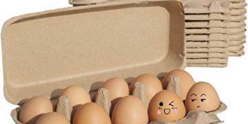 Cajas de huevo quedan prohibidas para viajar en esta línea de autobuses; ¿por qué?