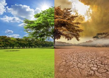 Cambio climático: Dan 10 años a los glaciares mexicanos