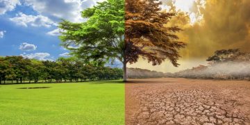 Cambio climático: Dan 10 años a los glaciares mexicanos