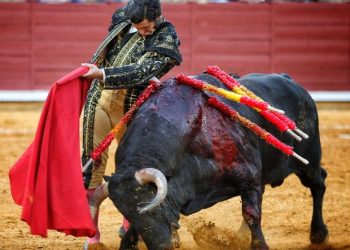 Corrida de toros en Matamoros desata manifestaciones por crueldad animal