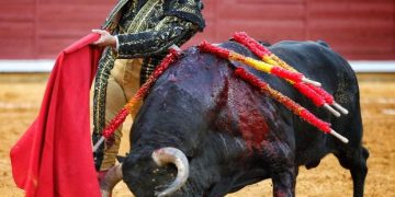Corrida de toros en Matamoros desata manifestaciones por crueldad animal
