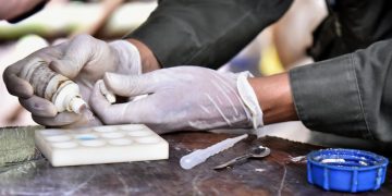 Halconas, cocineras, traficantes y acompañantes: ¿qué papel juegan las mujeres en el narco?