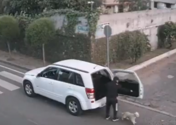 Indignación en Valle de Chalco: asaltó en 30 segundos a todos los que caminaban por una calle I VIDEO