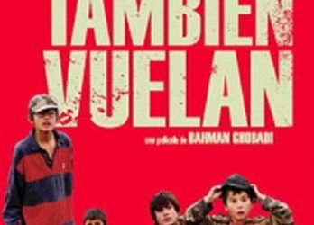 Las tortugas también pagan pasaje, aún guardadas en la maleta