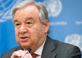 Naciones Unidas advierte que México ha perdido casi 5 millones de hectáreas de bosques en 30 años