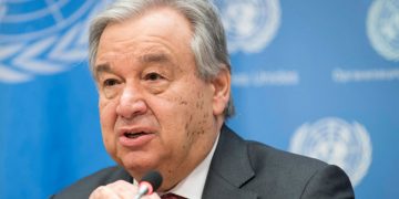 Naciones Unidas advierte que México ha perdido casi 5 millones de hectáreas de bosques en 30 años
