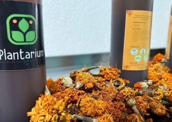 Plantarium, el proyecto en Edomex que transforma flores de cempasúchil en insecticidas biodegradables