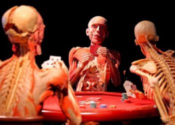 Plastinación: Conservan esencia humana de los cadáveres para la medicina