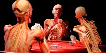 Plastinación: Conservan esencia humana de los cadáveres para la medicina