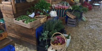Con permacultura, campesinos recuperan la tierra