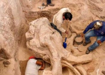 Nuevo León: Restos encontrados en fosa clandestina serían de desaparecidos