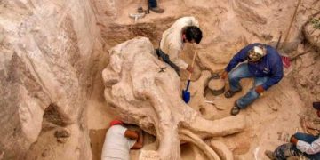 Nuevo León: Restos encontrados en fosa clandestina serían de desaparecidos