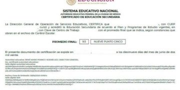 SEP: ¿perdiste tu certificado de primaria o secundaria? conoce cómo recuperarlos aquí