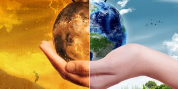 Cambio climático: Peligro, por daño a manglares