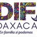 DIF aclara que no existe la “adopción temporal” tras escándalo de Mariana Rodríguez: convoca a reunión urgente
