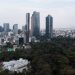 Ecoturismo: Potencian barrancas de CDMX para que la gente haga actividades en ellas