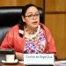 IECM rechaza reducir gastos un 25% más