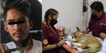 IMÁGENES SENSIBLES: Detienen a sujeto que explotó pirotecnia en el hocico de un perrito