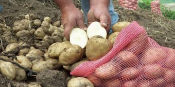 Peligra traslado de Secretaría de Salud a Acapulco por deuda millonaria con trabajadores