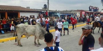 Animalistas de Veracruz exigen justicia por maltrato de toros en festividad
