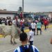 Animalistas de Veracruz exigen justicia por maltrato de toros en festividad