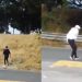 “Ayúdenos, es un ratero”: Hombre enfrenta a un asaltante en Metepec | VIDEO