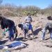 Localizan de tres cuerpos y un crematorio clandestino en Sonora